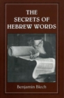 Image for The Secrets of Hebrew Words