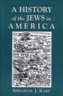 Image for A History of Jews in America