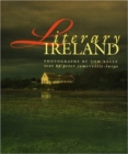 Image for Literary Ireland