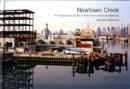 Image for Newtown Creek  : a photographic survey of New York&#39;s industrial waterfront