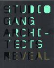 Image for Reveal  : Studio Gang Architects