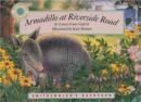 Image for Armadillo at Riverside Road