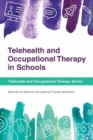 Image for Telehealth and Occupational Therapy in Schools