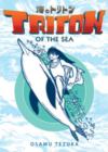 Image for Triton of the Sea Volume 2 (Manga)
