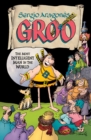 Image for Sergio Aragones&#39; Groo : Most Intelligent Man in the World
