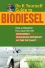 Image for Do it yourself guide to biodiesel: your alternative fuel solution for saving money, reducing oil dependency, helping the planet