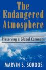Image for The Endangered Atmosphere : Preserving a Global Commons