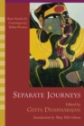 Image for Separate Journeys : Short Stories by Contemporary Indian Women
