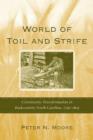 Image for World of Toil and Strife : Community Transformation in Backcountry South Carolina, 1750-1805