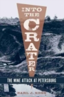 Image for Into the Crater