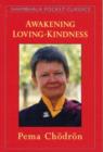Image for Awaken Loving-kindness