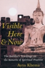 Image for Visible Here and Now : The Buddha&#39;s Teachings on the Rewards of Spiritual Practice