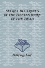 Image for Secret Doctrines of the Tibetan Book of Dead
