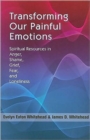 Image for Transforming our painful emotions  : spiritual resources in anger, shame, grief, fear, and loneliness