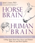 Image for Horse brain, human brain  : the neuroscience of horsemanship