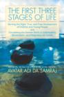 Image for First Three Stages of Life : Serving the Right, True, and Free Development of Children and Young People and Completing the Human Work of Individuation, Socialization, and Integration for Adults