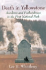 Image for Death in Yellowstone: accidents and foolhardiness in the first national park