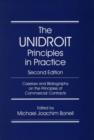 Image for The UNIDROIT Principles in Practice