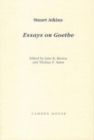 Image for Essays on Goethe