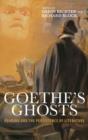 Image for Goethe&#39;s ghosts  : reading and the persistence of literature