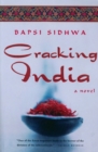 Image for Cracking India: A Novel