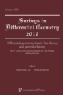 Image for Differential geometry, Calabi-Yau theory, and general relativity  : lectures and articles celebrating the 70th birthday of Shing Tung YauPart 2