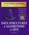 Image for Data structures and algorithms in Java