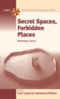 Image for Secret Spaces, Forbidden Places : Rethinking Culture