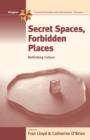 Image for Secret Spaces, Forbidden Places : Rethinking Culture