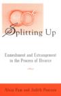 Image for The Splitting Up