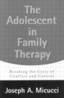 Image for The Adolescent in Family Therapy