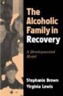 Image for The Alcoholic Family in Recovery : A Developmental Model