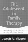 Image for The Adolescent in Family Therapy
