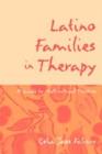 Image for Latino Families in Therapy