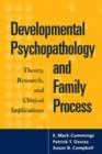 Image for Developmental Psychopathology and Family Process : Theory, Research, and Clinical Implications