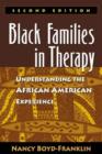 Image for Black Families in Therapy, Second Edition : Understanding the African American Experience