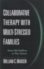 Image for Collaborative Therapy with Multi-Stressed Families : From Old Problems to New Futures