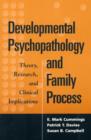 Image for Developmental psychopathology and family process  : theory, research, and clinical implications