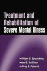 Image for Treatment and Rehabilitation of Severe Mental Illness : A Comprehensive Approach