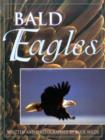 Image for Bald Eagles