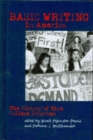 Image for Basic Writing in America : The History of Nine College Programs