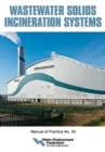 Image for Wastewater solids incineration systems