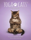 Image for Yoga Cats Deck and Book Set