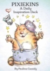 Image for Pixiekins : A Daily Inspiration Deck