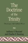 Image for The Doctrine of the Trinity : Christianity&#39;s Self-Inflicted Wound
