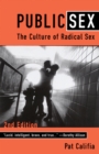 Image for Public Sex : The Culture of Radical Sex