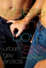 Image for Where the boys are  : urban gay erotica