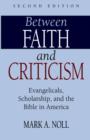 Image for Between Faith and Criticism : Evangelicals, Scholarship, and the Bible in America