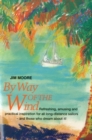 Image for By Way of the Wind