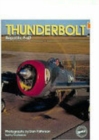 Image for Thunderbolt  : Republic P-47